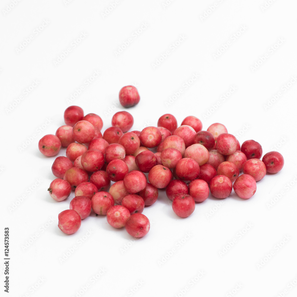 Antidesma thwaitesianum isolated on white background Antidesma thwaitesianum isolated on white background