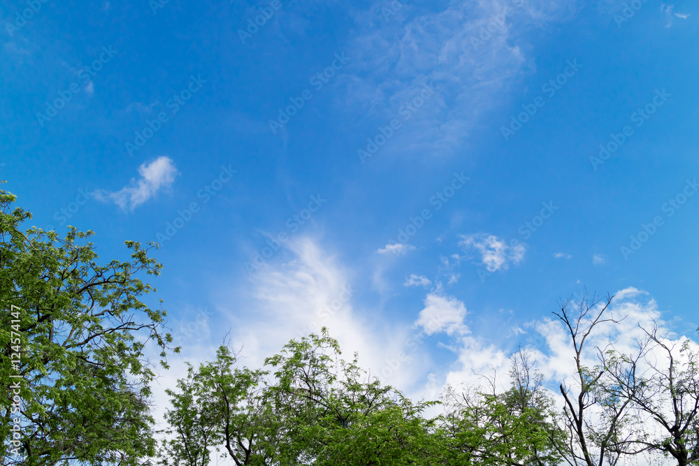 Obraz premium Blue sky with clouds