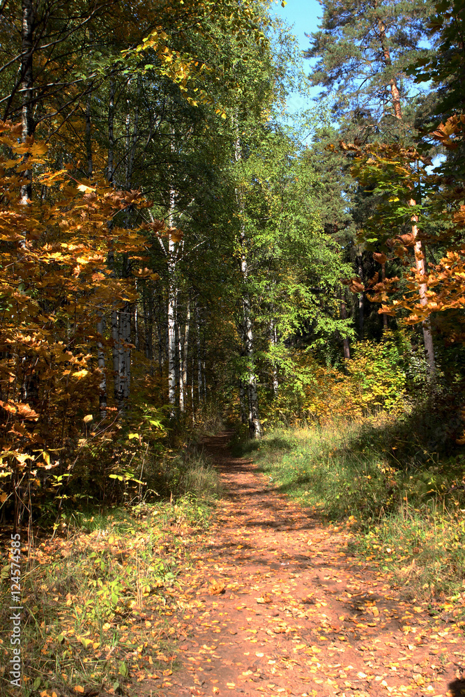 Obraz premium природа