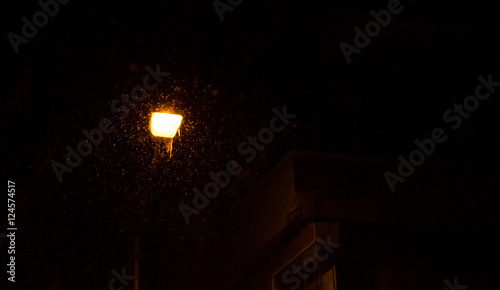 Street Lamp With Icicle and Snowflakes © Ipek Morel