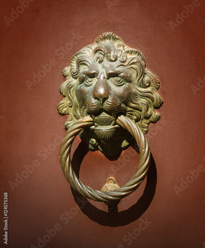 Venetian door knocker
