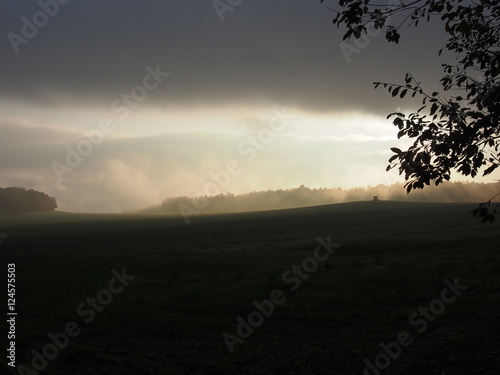 Tr  bes Herbstwetter im Wald und auf der Wiese