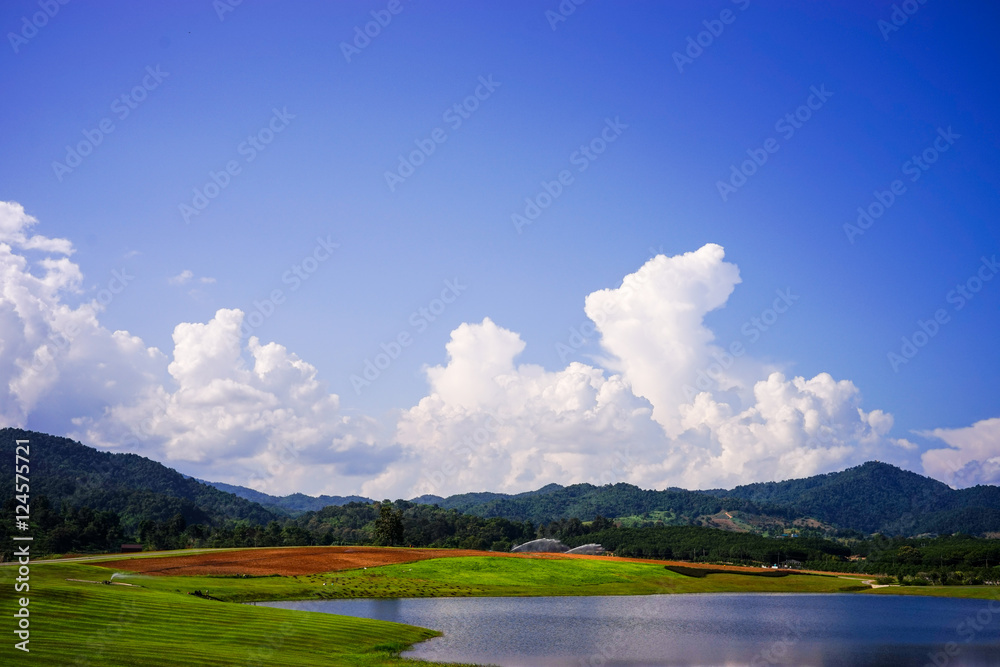 Fototapeta premium lake landscape with blue sky and clouds in summer