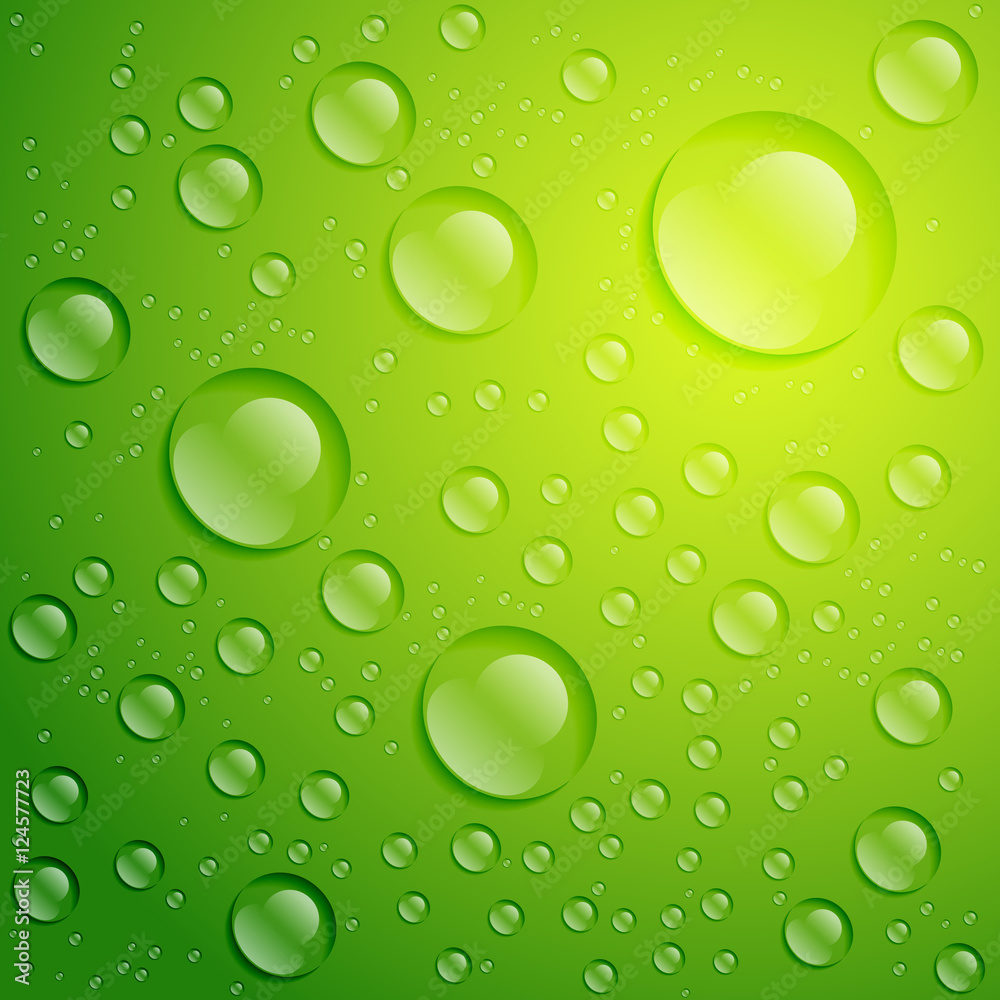 Vector abstract transparent water drops background. Vector abstract transparent water drops background.