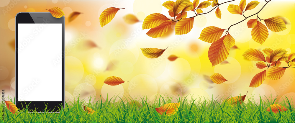 Autumn Beech Foliage Sunlights Grass Smartphone