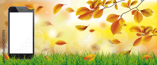 Autumn Beech Foliage Sunlights Grass Smartphone