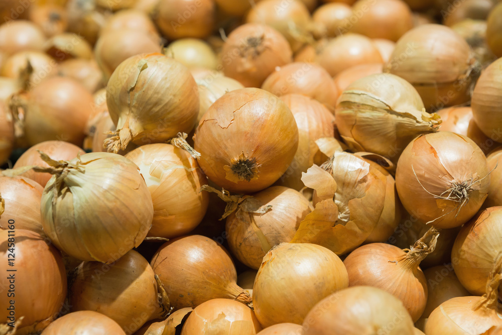 Fresh onions. Onions background. Ripe onions. Onions in market Fresh onions. Onions background. Ripe onions. Onions in market