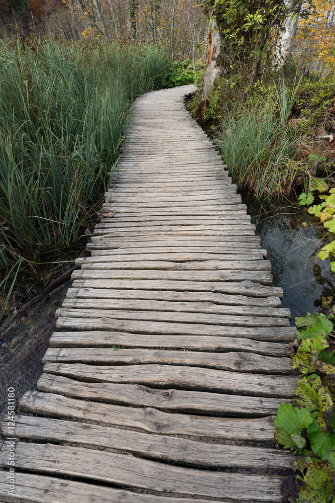 Wooden boardwalk in the forest