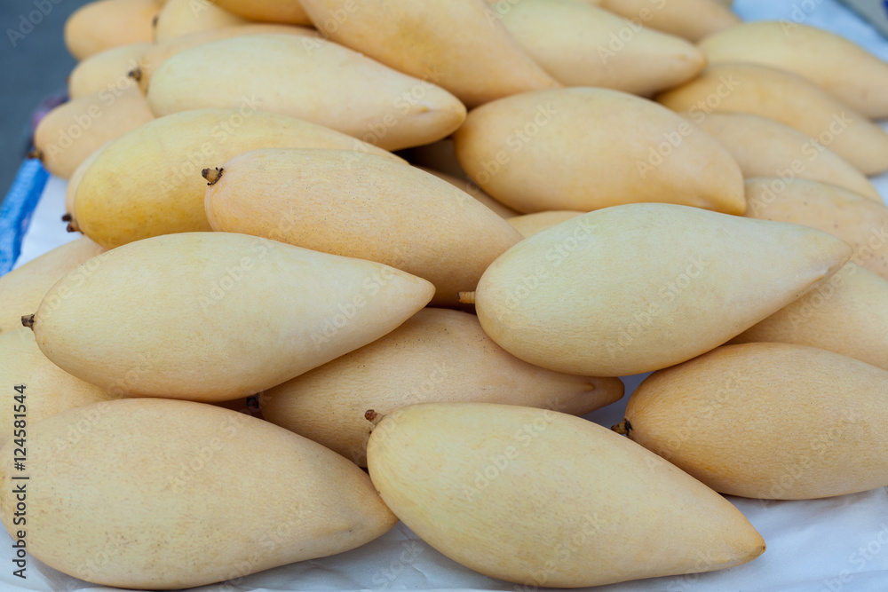 Mango flowers, sweet flavors of Golden and fragrant. Mango flowers, sweet flavors of Golden and fragrant.