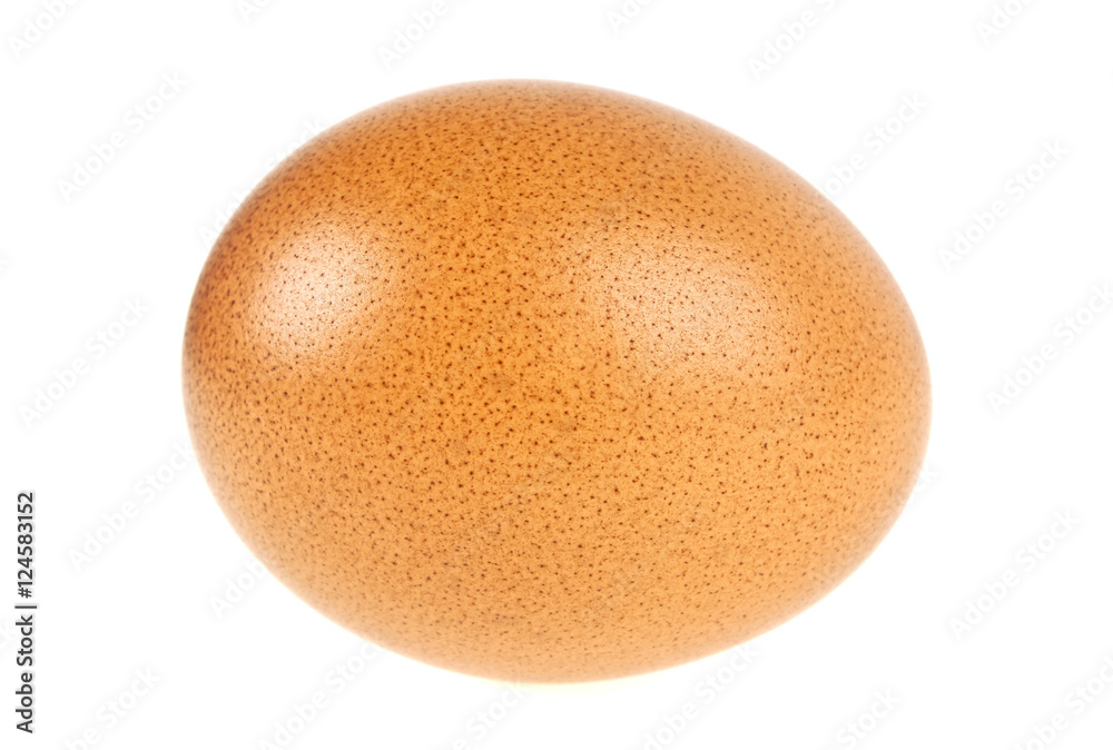 Single brown chicken egg isolated on white background Single brown chicken egg isolated on white background