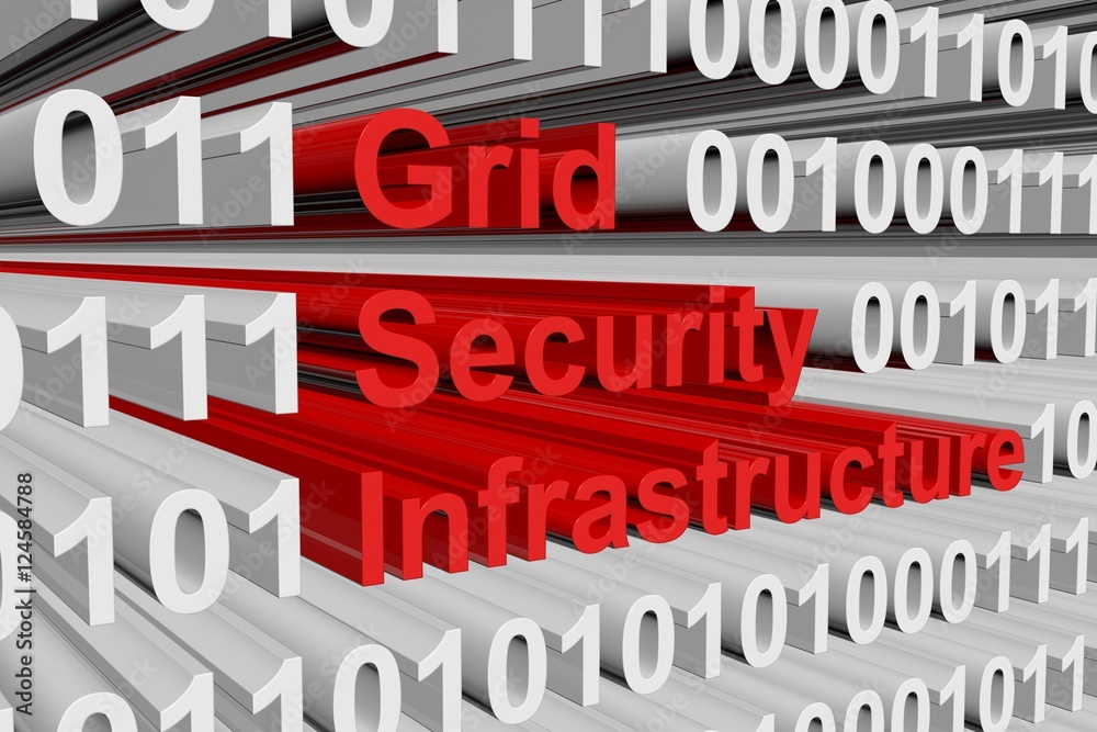 Grid Security Infrastructure in the form of binary code, 3D illustration