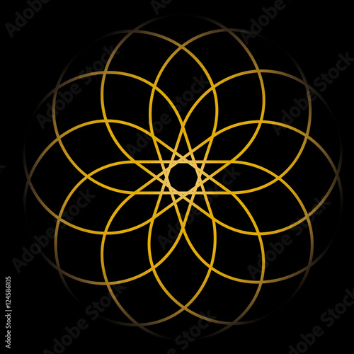 GEOMETRY ILLUMINATED.
rosettes variety 