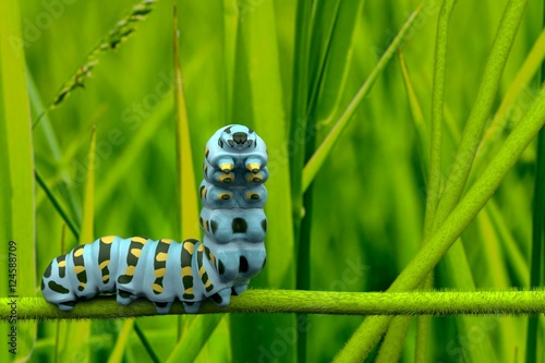 caterpillar 3D © TeacherX555