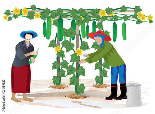 agriculturist manure cucumber plant vector design