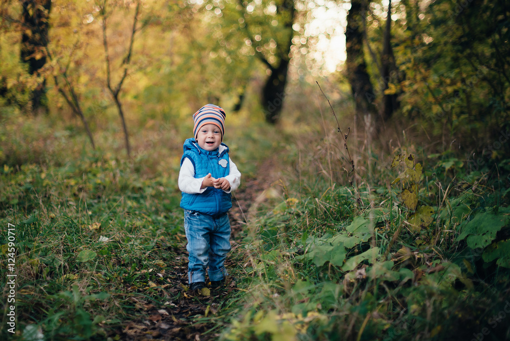 little boy in blue in the autumn park little boy in blue in the autumn park