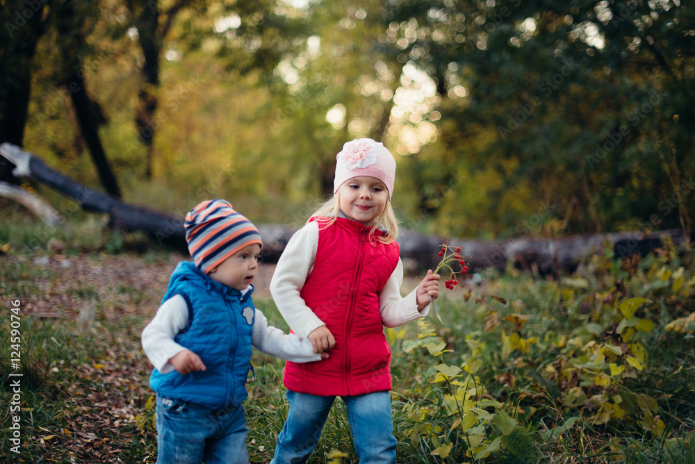 little girl with a boy walking in the autumn park, brother and sister in the woods little girl with a boy walking in the autumn park, brother and sister in the woods