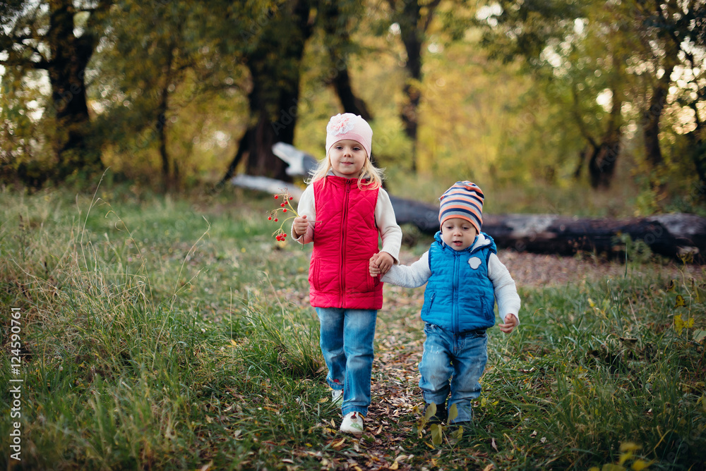 little girl with a boy walking in the autumn park, brother and sister in the woods little girl with a boy walking in the autumn park, brother and sister in the woods