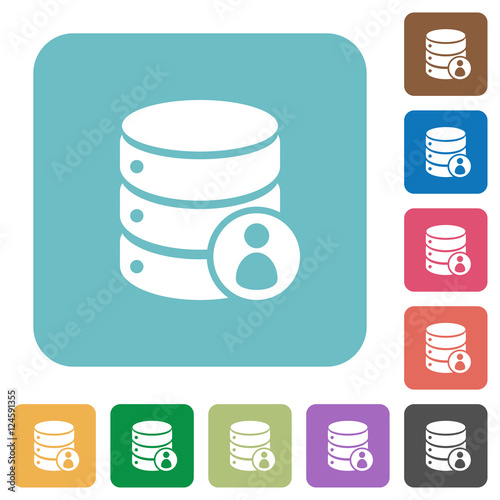 Database privileges flat icons