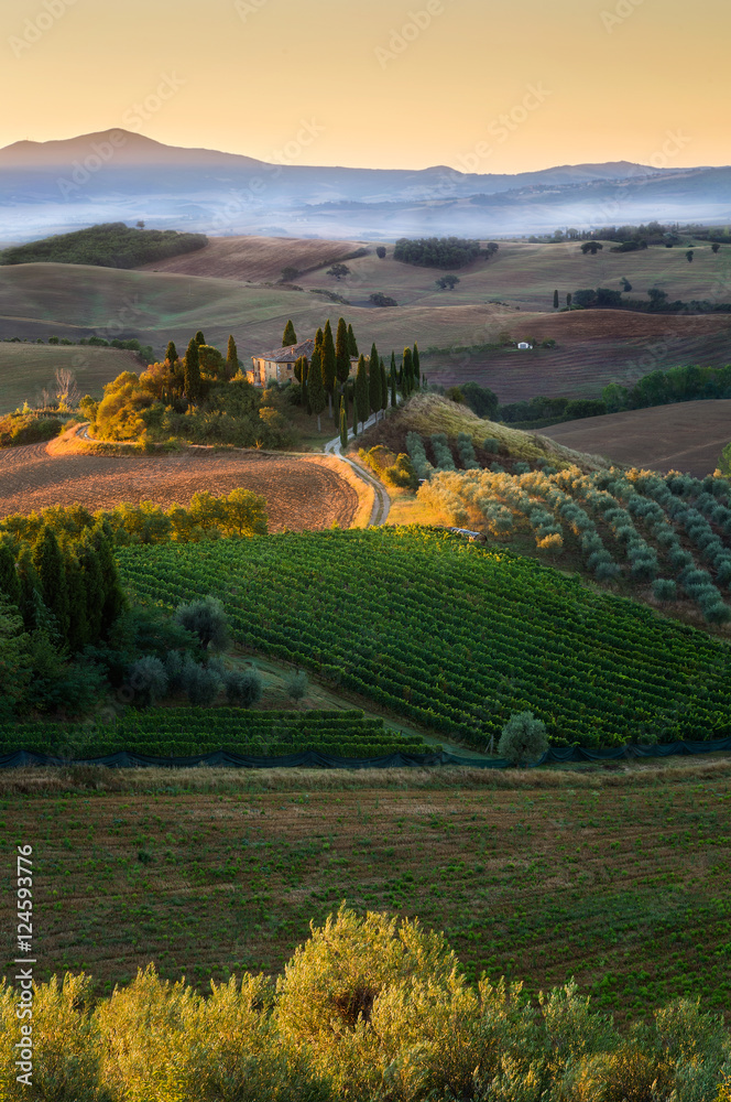 Obraz premium San Quirico d'Orcia, Tuscany, Italy
