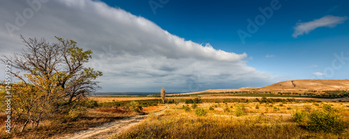 Panoramic view of the vineyards of Koktebel, Crimea