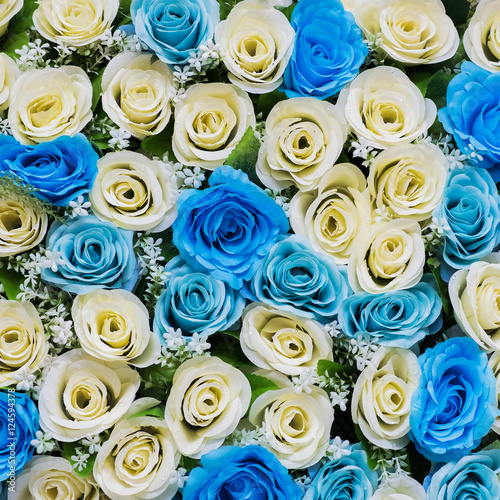 Beautiful flowers blue and white background for wedding scene