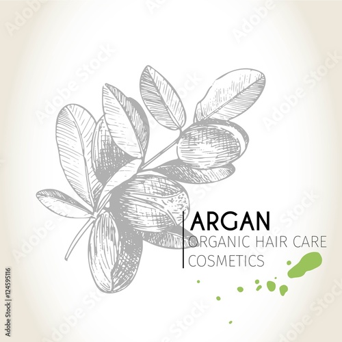Vector set of hair care ingredients. Organic hand drawn elements. Argan branch.