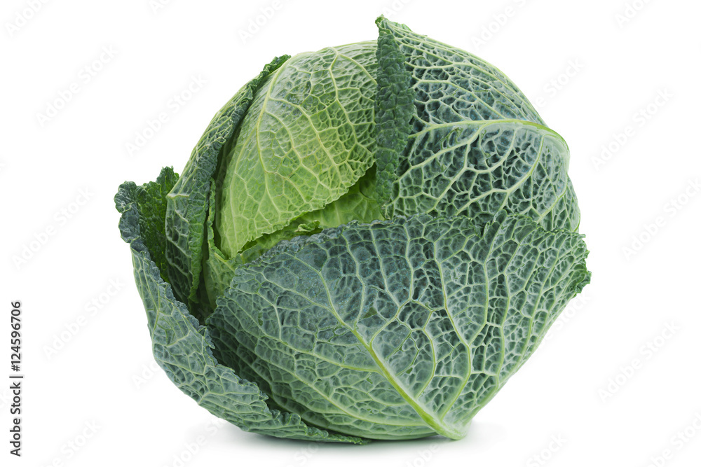 Obraz premium Savoy cabbage on white