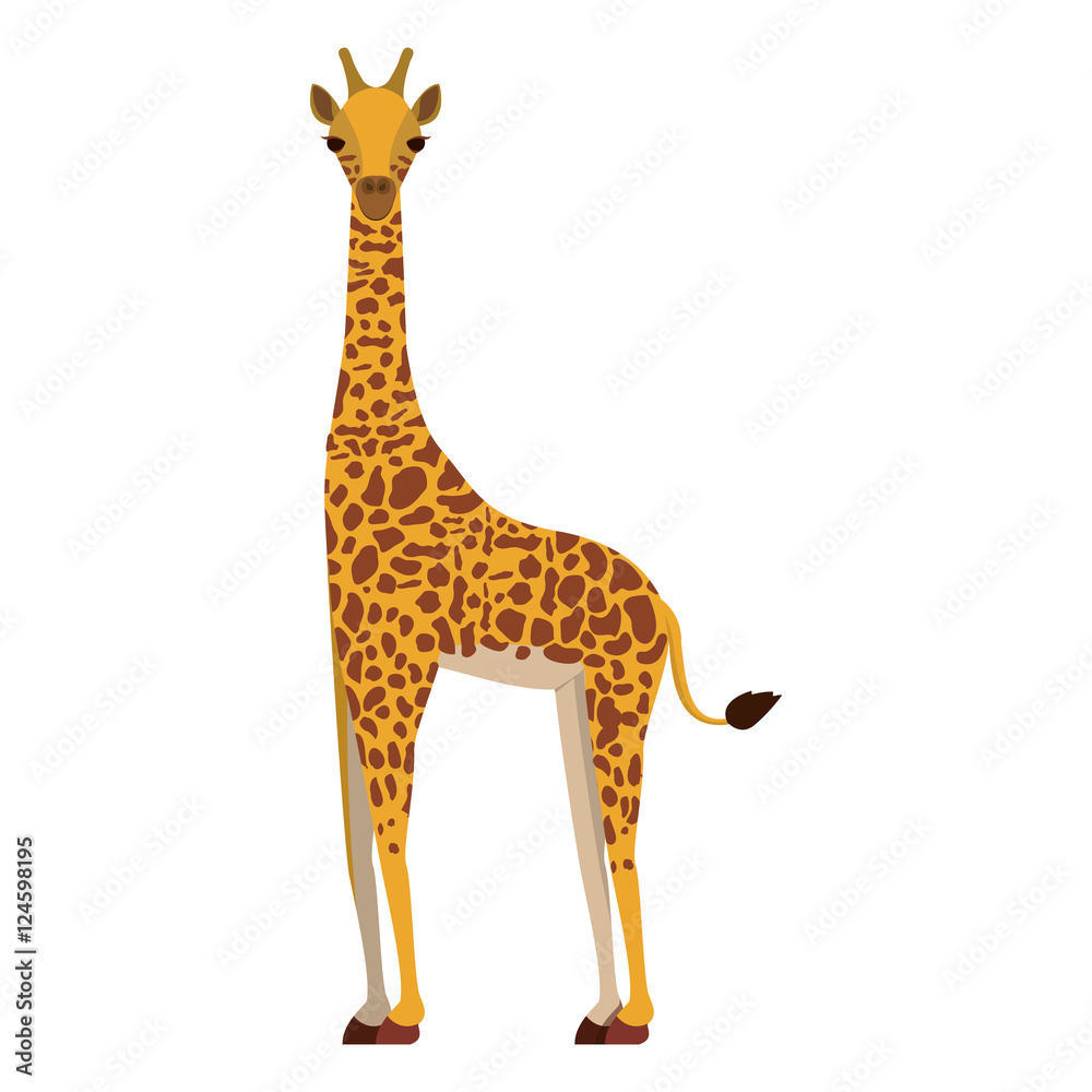 brown and yellow giraffe wildlife animal over white background. vector illustration brown and yellow giraffe wildlife animal over white background. vector illustration