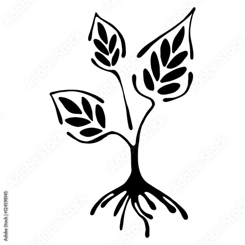 Vector hand drawn illustration, decorative ornamental stylized tree. Black and white graphic illustration isolated on the white background. Inc drawing silhouette. Decorative artistic ornamental wood