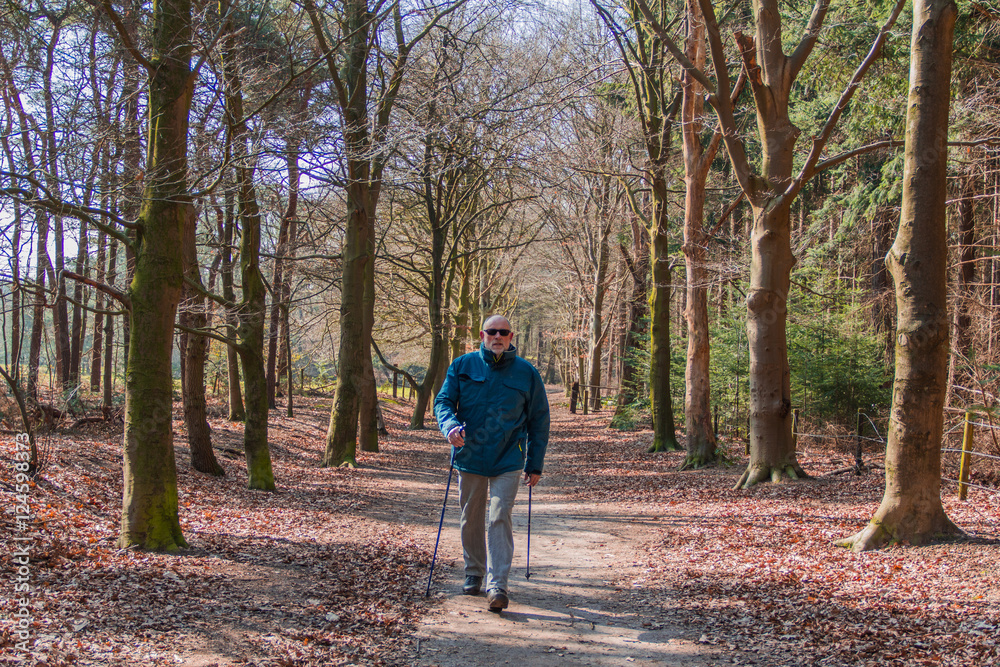 Senior at the Nordic walking in landscape of autumn forest Senior at the Nordic walking in landscape of autumn forest