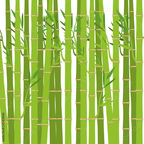 green bamboo trunks and leaves. exotic plant over white background. vector illustration © grgroup