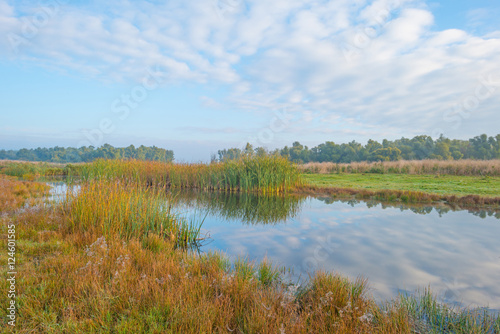 Shore of a lake at sunrise in autumn