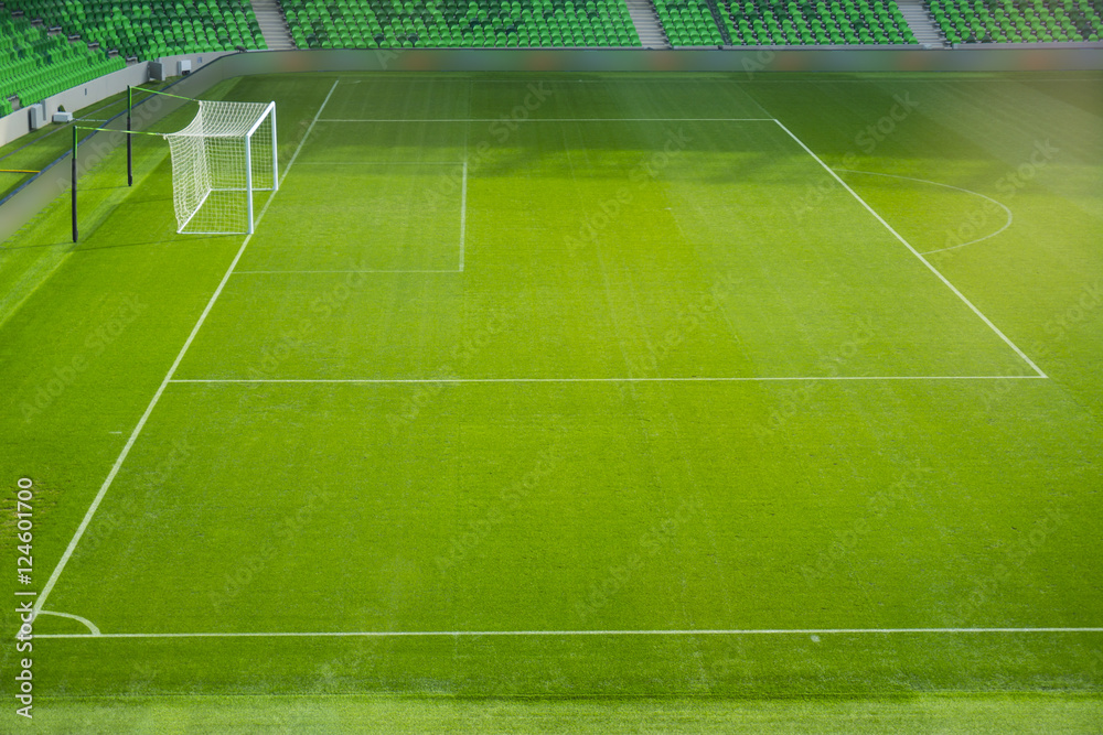 Fototapeta premium Football soccer field with white marks, green grass texture and corner.
