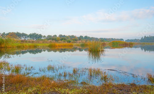 Shore of a lake at sunrise in autumn