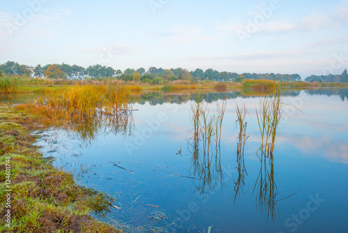 Shore of a lake at sunrise in autumn