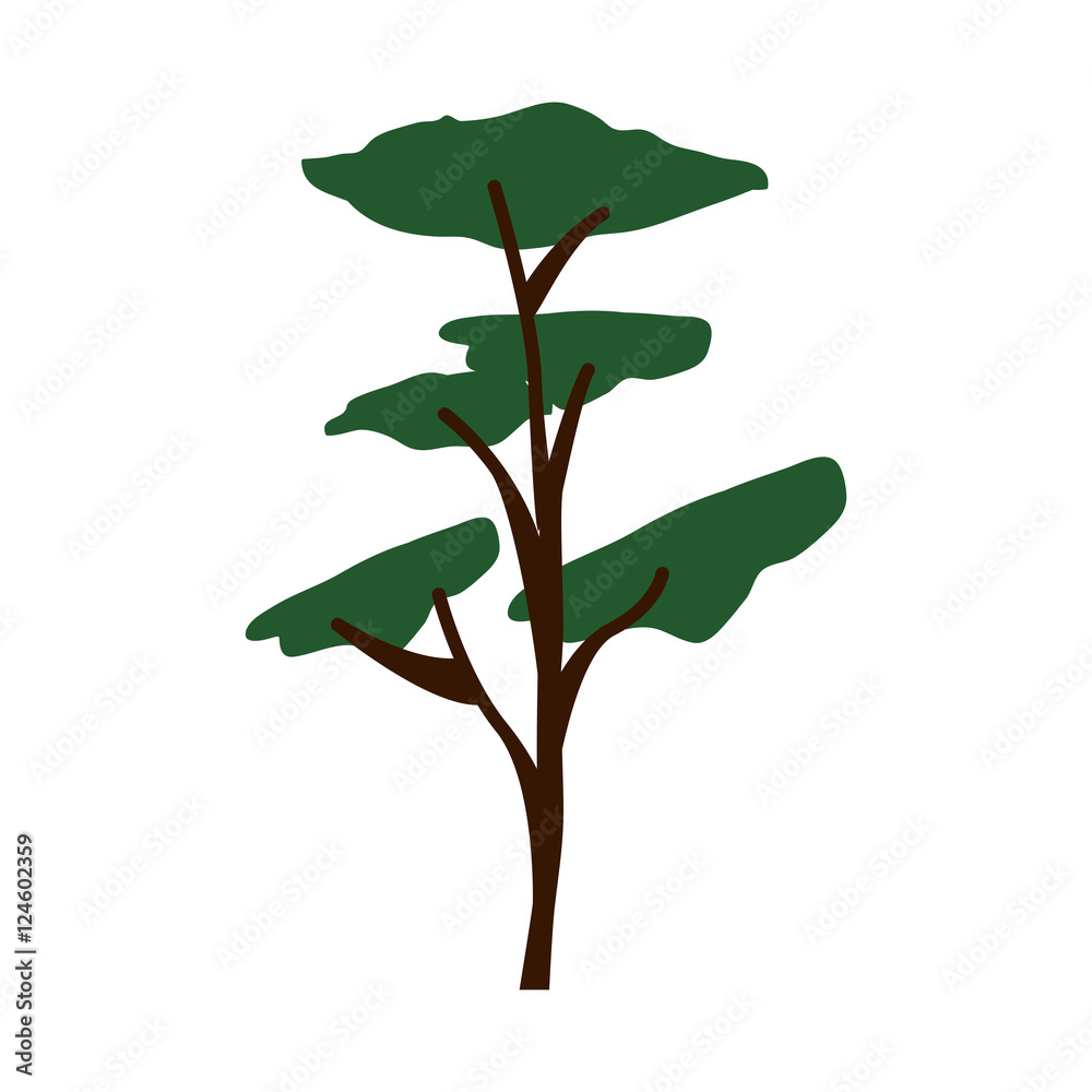 Obraz premium green tall tree plant icon over white background. vector illustration