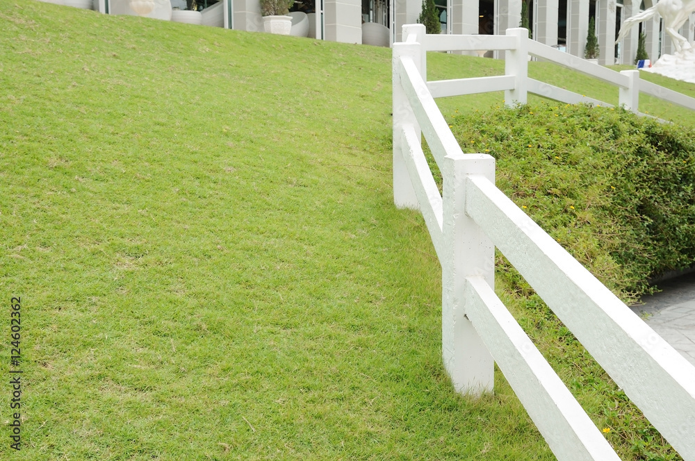White fence on green yard.