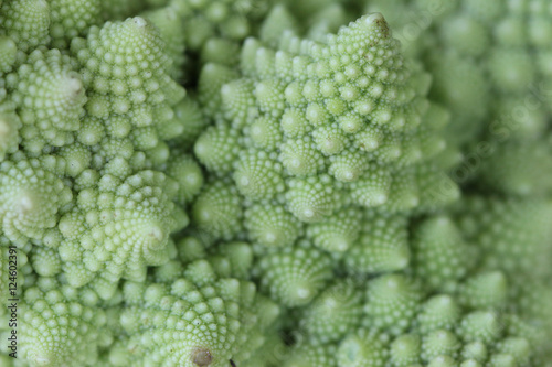 Macro of Romanesco broccoli, or Roman cauliflower, with its fractal shapes and Fibonacci sequences. Close-up.