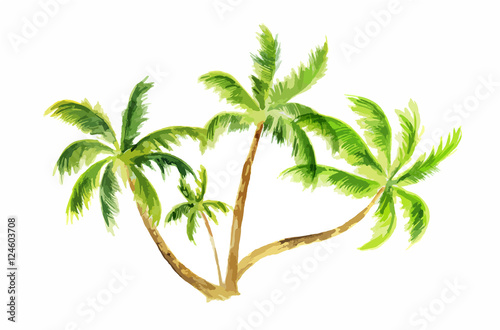 Watercolor palm set on white background. Tropical exotic beach tree for decoration.