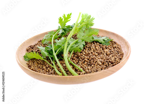 Coriander and coriander seed in wooden plate on white background