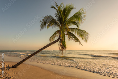sunset on the beach with coconut trees © yotrakbutda