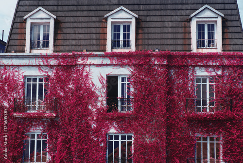 Konstfotografi Beautiful guesthouse exterior