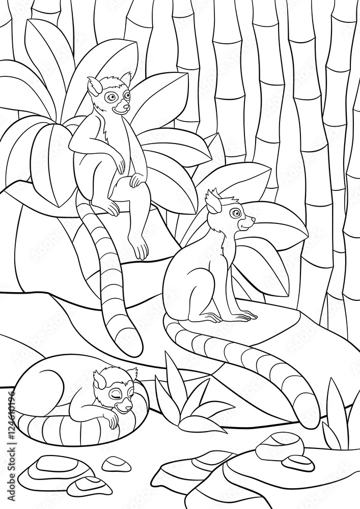 Coloring pages. Three little cute lemurs. Coloring pages. Three little cute lemurs.