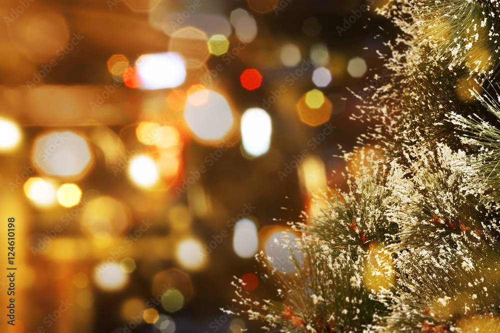 Pine tree for christmas decoration Pine tree for christmas decoration