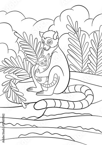 Fototapeta Naklejka Na Ścianę i Meble -  Coloring pages. Mother lemur with her little cute baby.