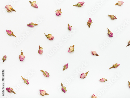 pink rose flower buds on white textured paper