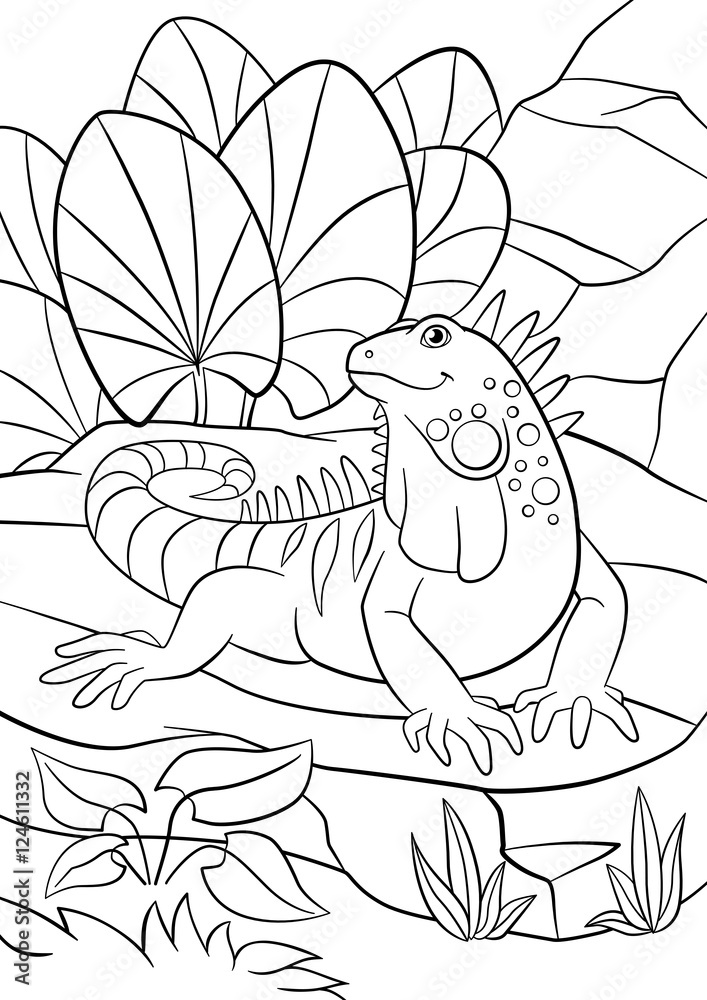 Fototapeta premium Coloring pages. Cute iguana sits on the rock.