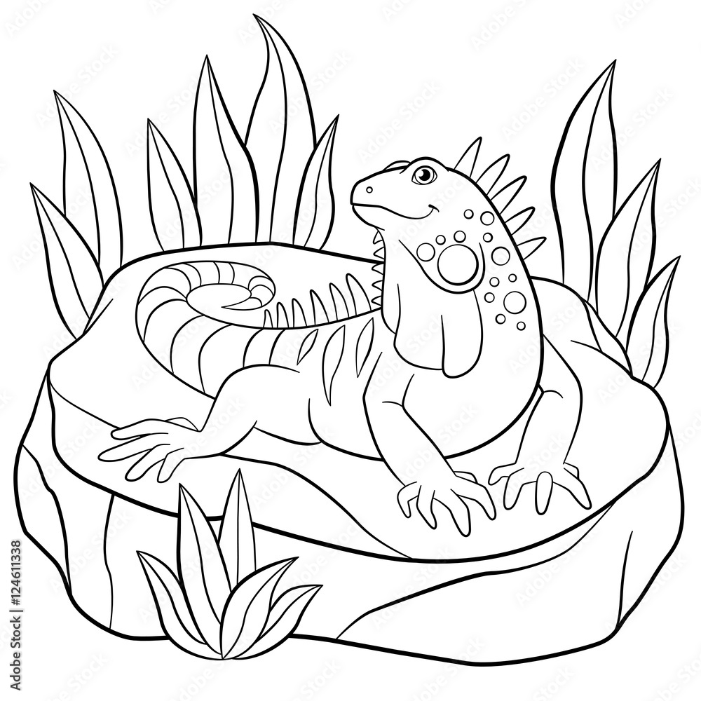 Naklejka premium Coloring pages. Cute iguana sits on the rock.