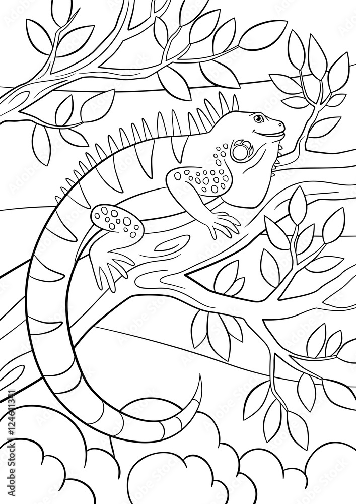 Coloring pages. Cute iguana sits on the tree branch.