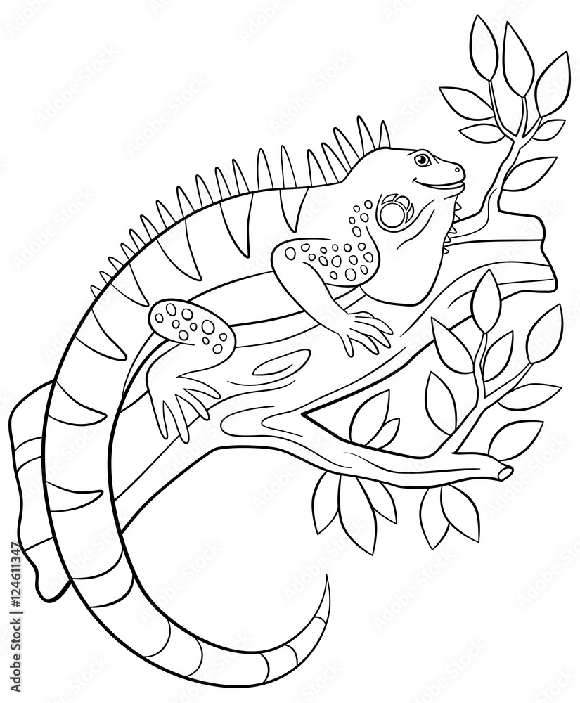 Fototapeta premium Coloring pages. Cute iguana sits on the tree branch.